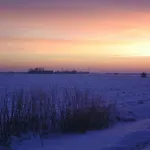 Nordzeeoase-pethan Met Sauna Feriehus Neuharlingersiel